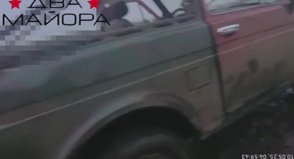 ��� ������: ���������������� �����������