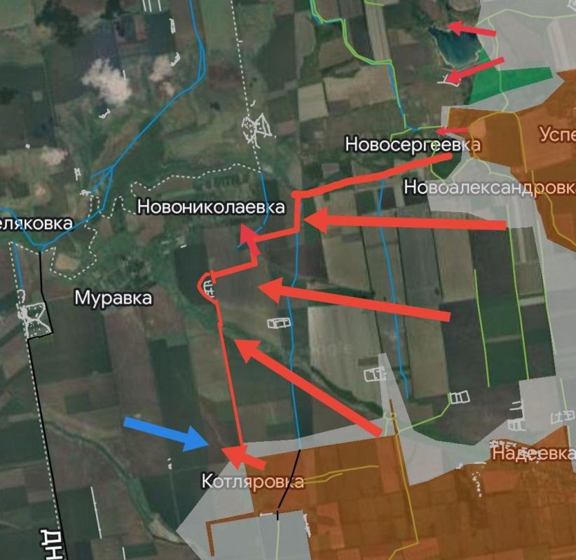 ���������� �� ���������������� ����������� ����������� �� �� ������� ���� �������: