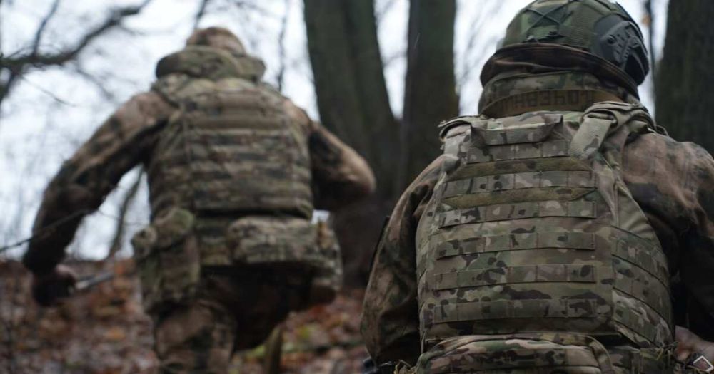 �����, ��������, �����������: ��� ���� ����� ������ ��� � ��������