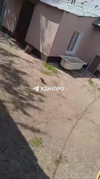 ��� �������� ������� �������, ����� ��� ���������������� ������ ���������������� ����