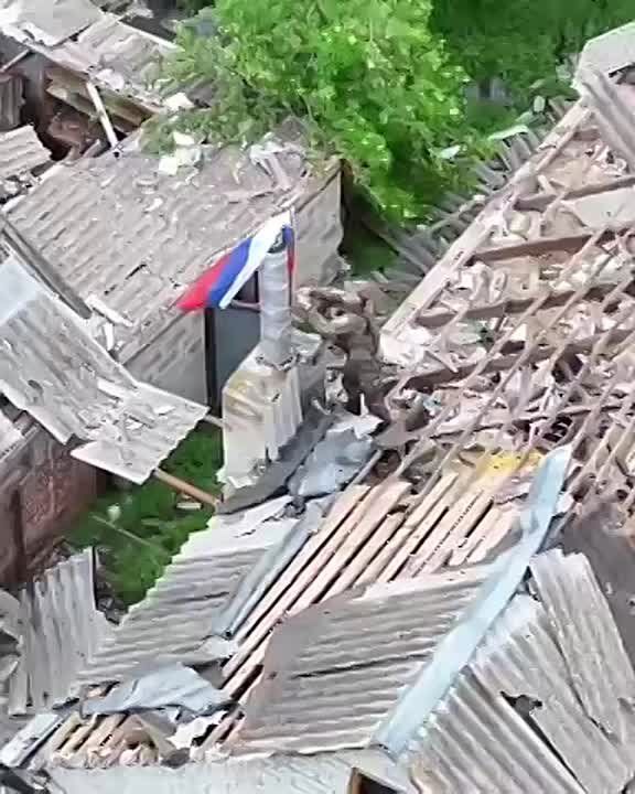 ������ ������� ��� �� ����-�������� �����������: � ���������� �� ����������� ������������ ��������