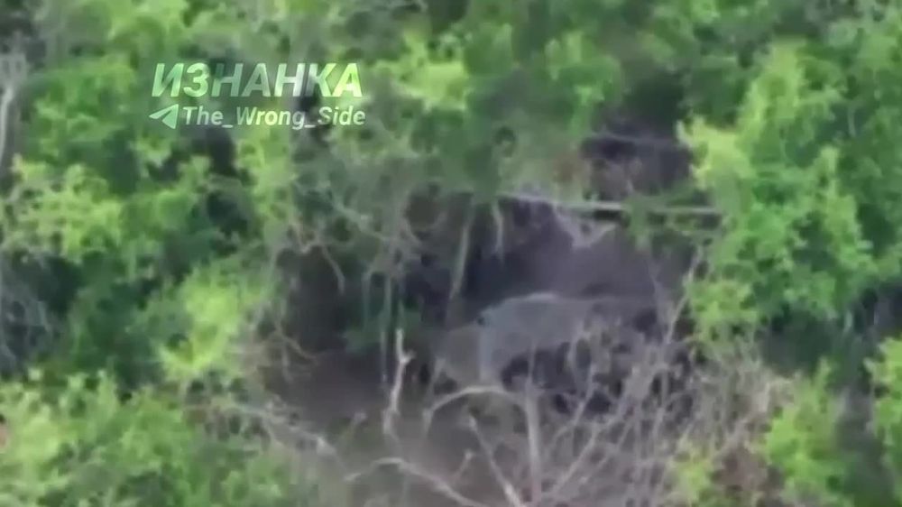 ����������� ����������� �-64�� �������� � ������ ������������ ���������������� �������