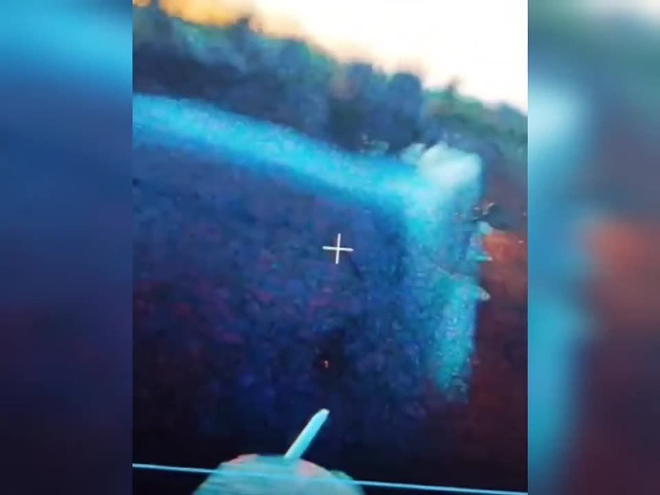 ������ �������� ��������� "�����" ��� ���������� ��� ������� ������� �� ������ �.�. ������������ �� ������� ��� � ���������������� �������