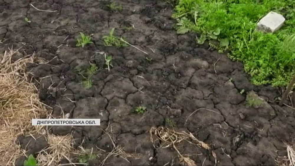 � ���� ������� ���������������� ������� ����� �� ���� ����� �� 78 ���/�