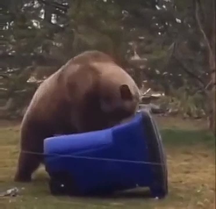 ��������� ���������� ����, 9 �����������, 11 ��������� ��-22�3, ��-95�� � ��-160 � 4 ����������� � ��������� ������� ���� �������� ������� ����� � ����������� �������� ������� ��� ��������� �������� �������� ����