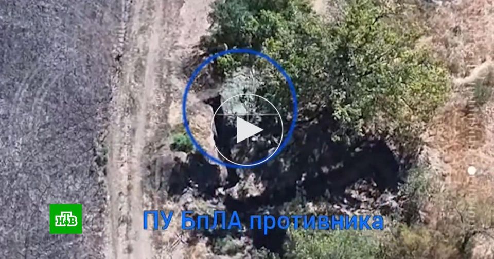 ���� ������ �� ����������� ���������� ��������� ����� ������� ���������� ������