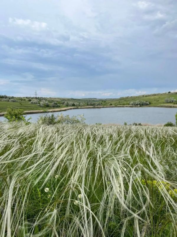 �������: ������� � ������