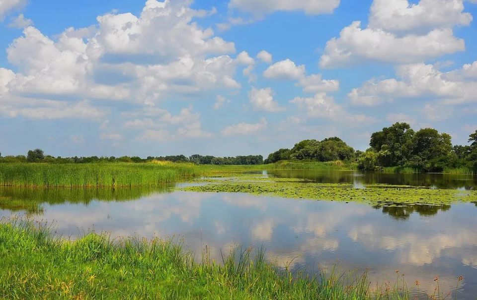 � ���������������� ������� ����� ������� ����� ������������ ��������� ���� �������-���������