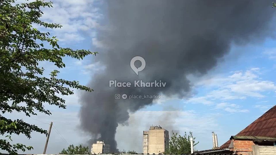 ���� ���������: ������� ������ ����� ������, ������� ������� ����� �� ���� �������