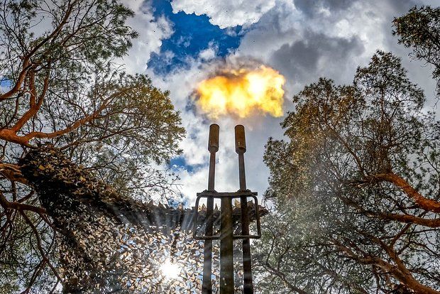 ��������: ��� �� ����� ���������� ������ �� �����������, ������� ����� �� �����