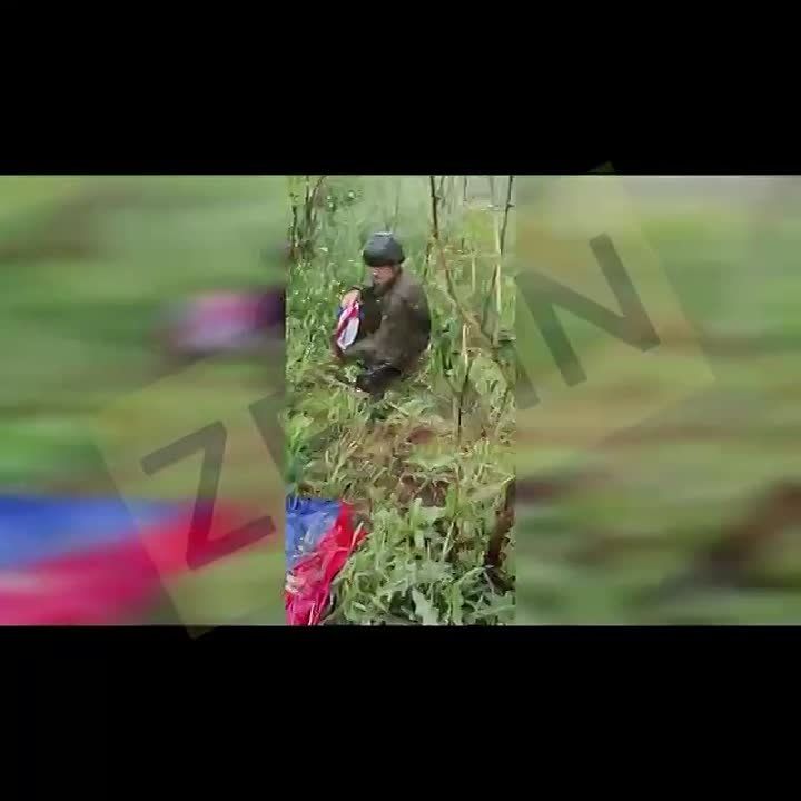 ���, ������ ��!!!!!!!!������������ ������� ��������, ������������� 90-� �������� ������� ����������� ����� "�����" ����� �� �������� ������� ��� � ���������� ��������� ����������� �� ���������� ���������������� �������