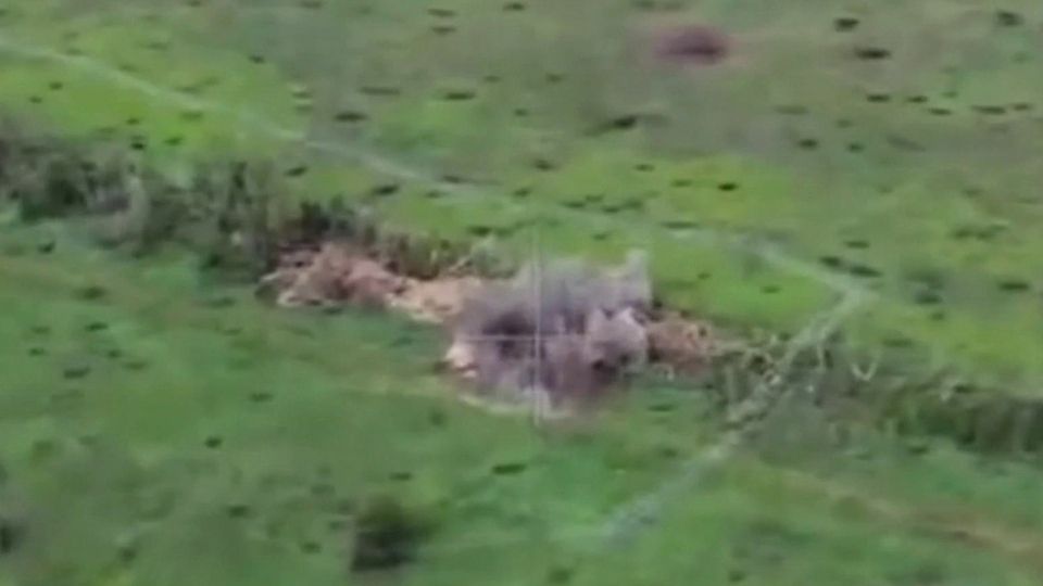 ����� ������ ���������� ���� ���� � ���