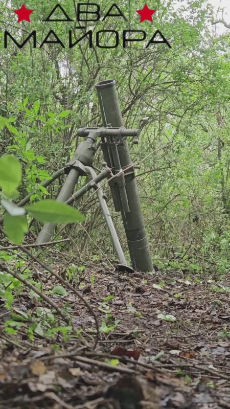 ��� ������: ���������������� �����������