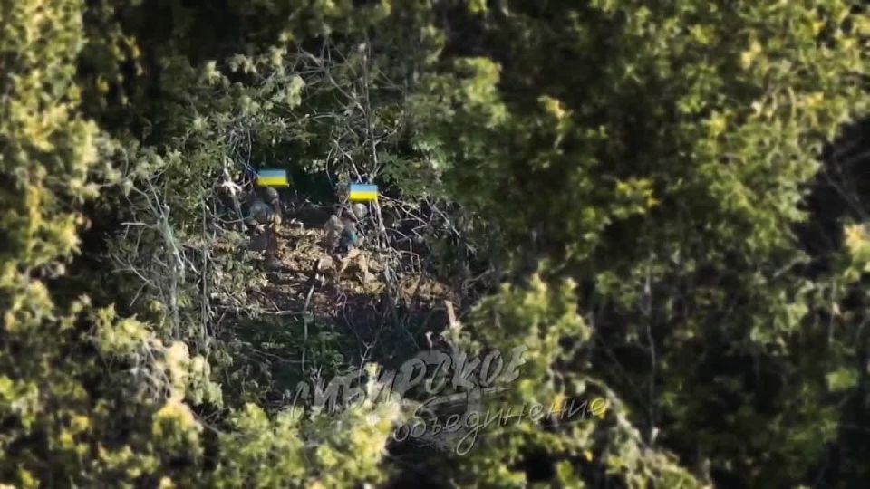 ������������� ���������� ����� ��������� ���������������� ������� ���������������� ������� � ��������� ����������� �� ����������� � ��� ����������