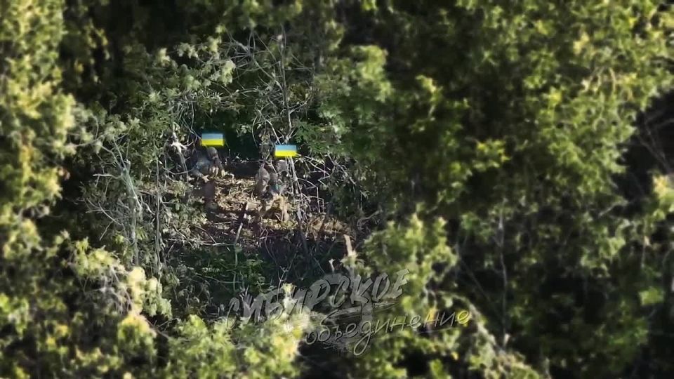 � ���� ��������� ����� ������ ������ �� �� �� ������� ��� � �� ������ � ���������������� �������