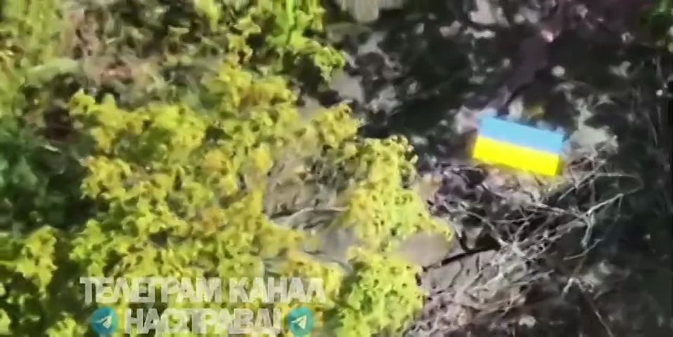 ������ ����� ����������� ������� ���������������� ������� �� ��!