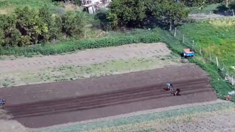 ������ ��������� �� ��������, ��� �� �� ���������� ����������, � ��� ������� ����� "���������� ����������� ����� �����"