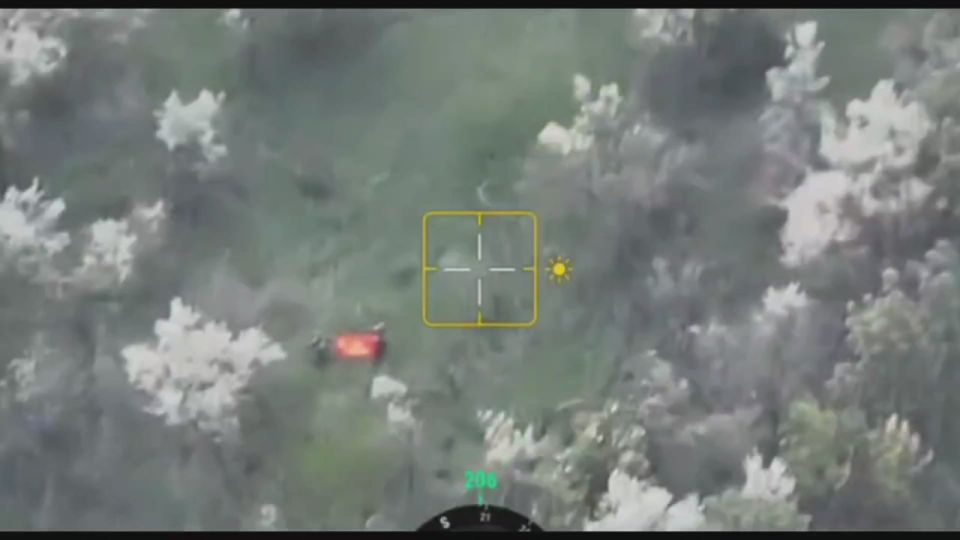 ������� 114-� ��������� ����������� �������������� ������� ����� � ������� ���������������� ������� � ������ ���� ������������