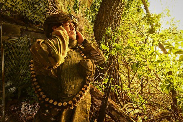 �������: �� ������ ������� �������� ��� ������ ��������������