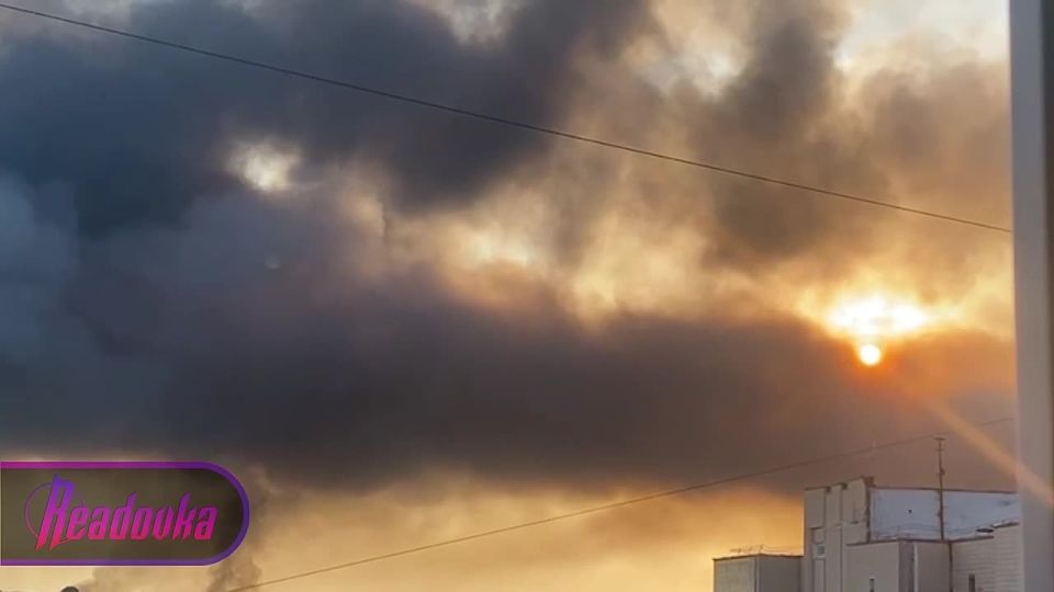 ���� ����� ����� ����� ���� �������� ������� ����� � ����