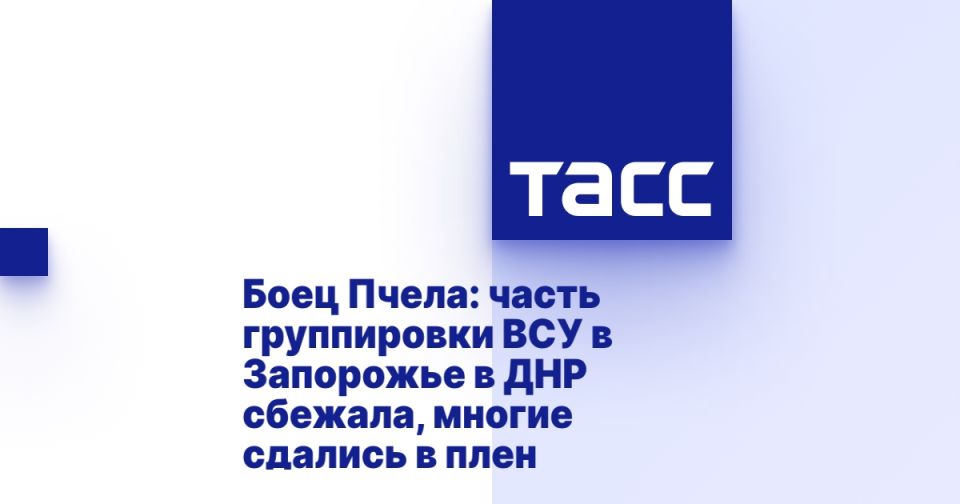  :        ,    