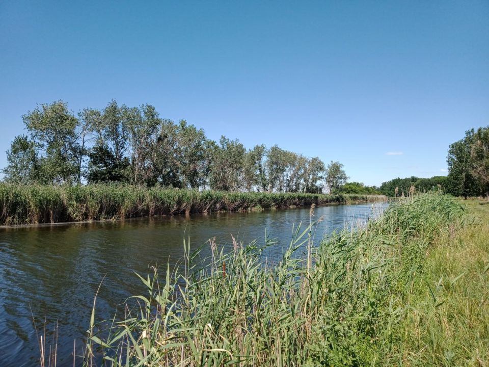 ���� ���� ��� ���������� �� ����� ������ �� �����, � �������� ���� ����� ����������� 37-� �������������� ������� (�� ����� ��������������� � �������) ����������� ���� ������ ���, � ������� �������� � ���������������� ��������