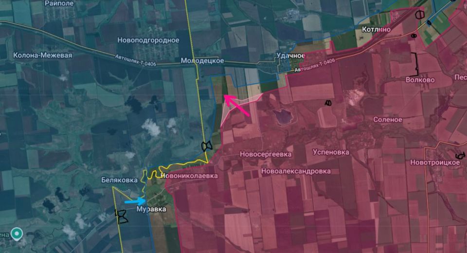 �������� � ����������� ��������� ������� �� �� � ������� �.�. ����������, ������� ��������� �� ������� � ���������������� ��������