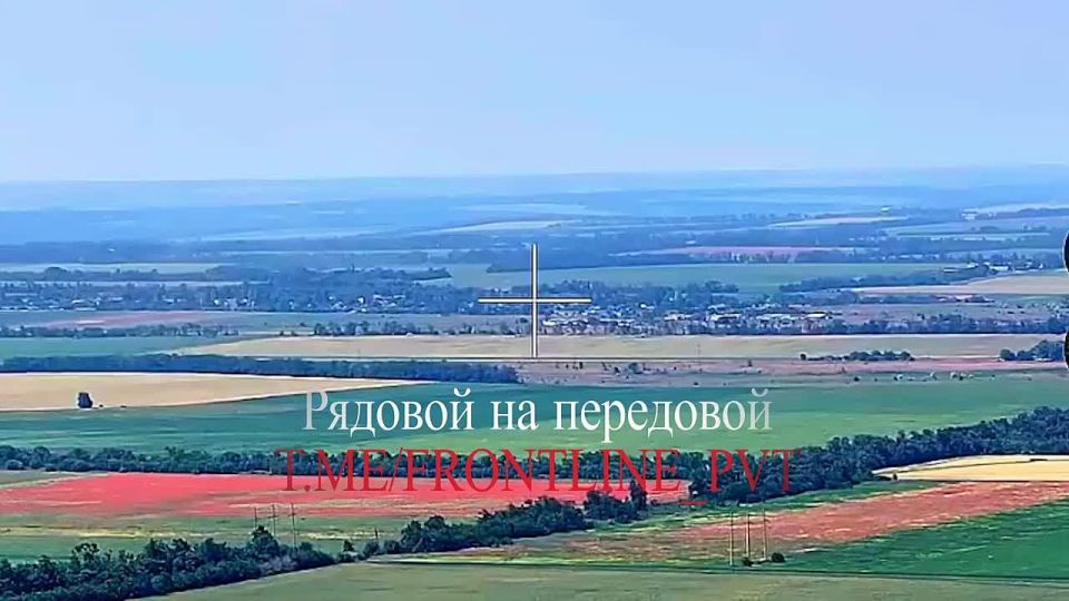 - :    