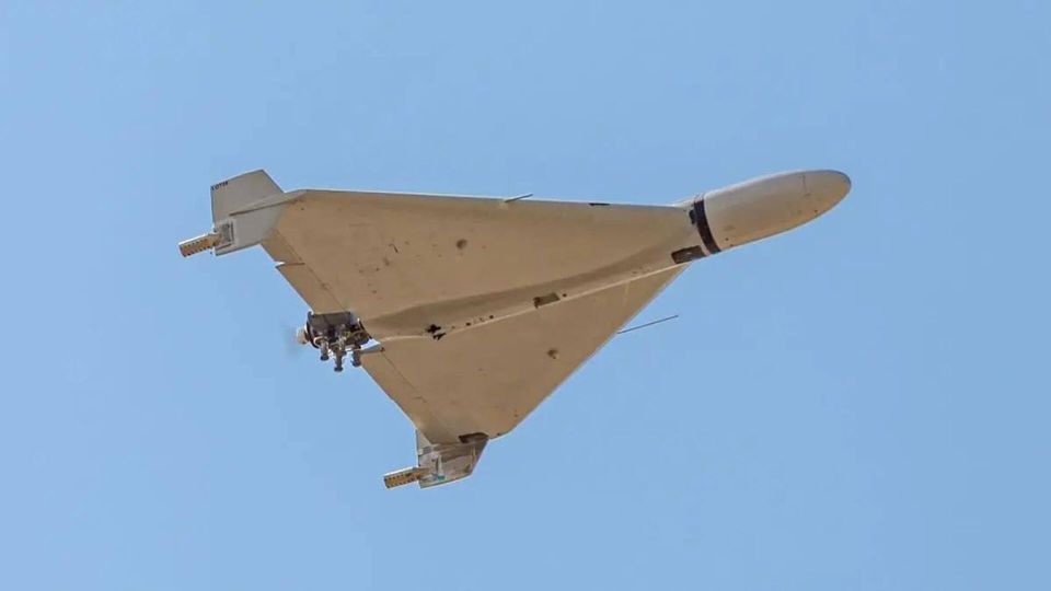 ����� ������ ���������� ����� ������� ���� � ���������� �������� �������