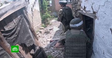  ,  :      