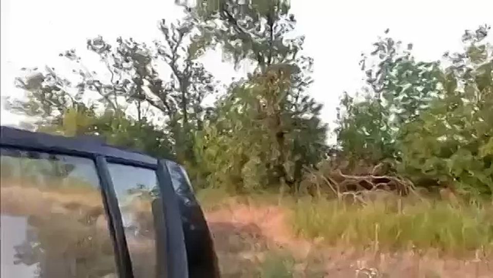     FPV-         