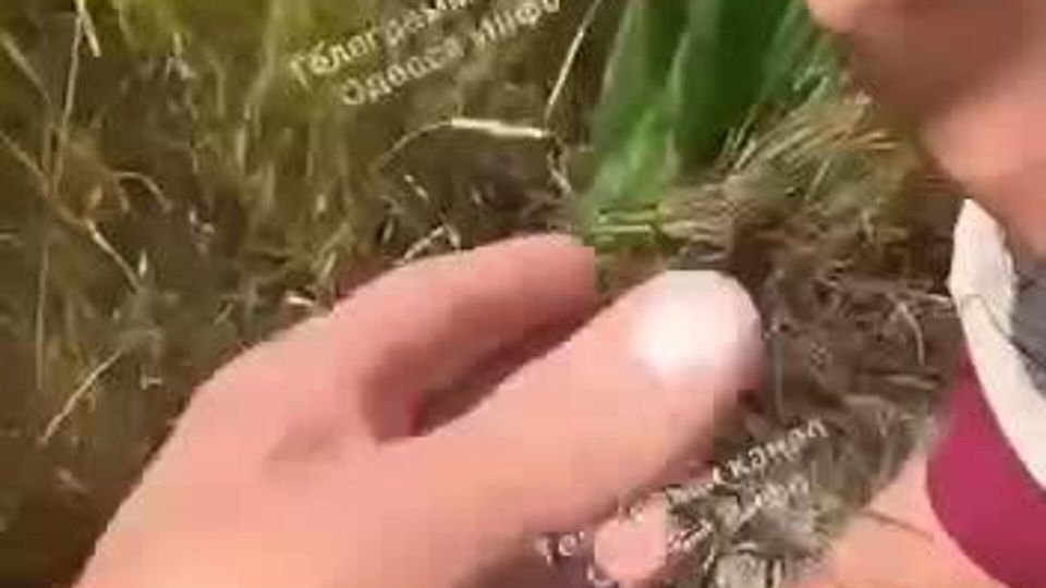 ��������� � �������, ���������� �� �������, ���������� ��� ����� ���������