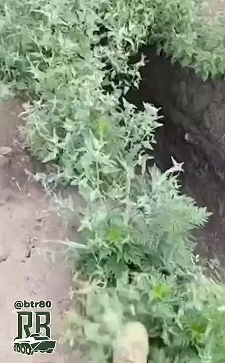                   &quot;&quot;  