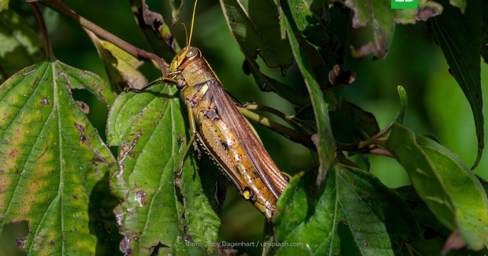 ������� ������� �� ����� ���������