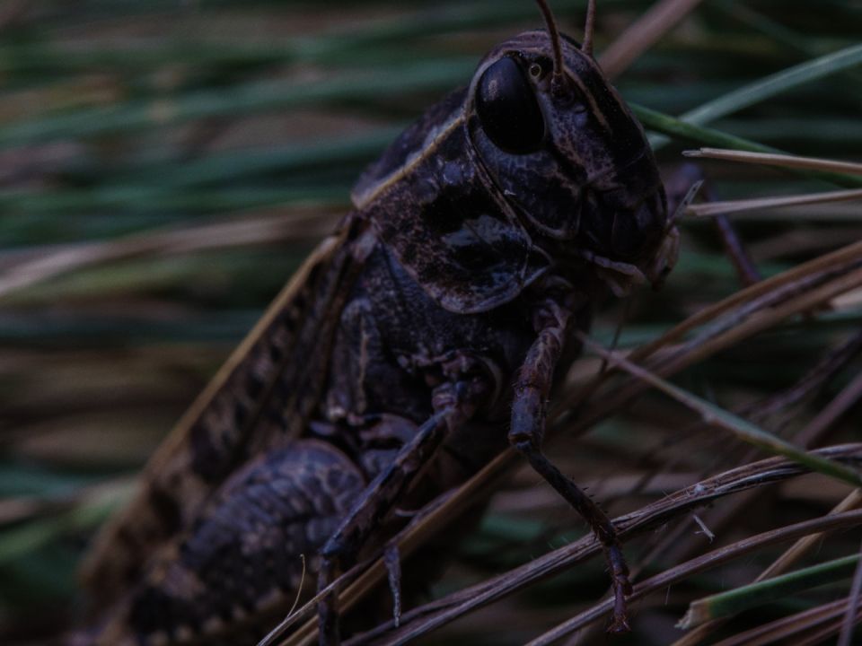 ������� ������� ������� �������� ����������� ����