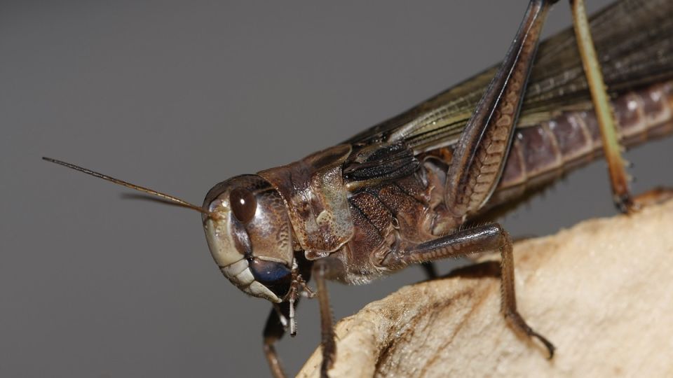 �� ���� ���������: ������� ���������� ��������� ��� �������� �������