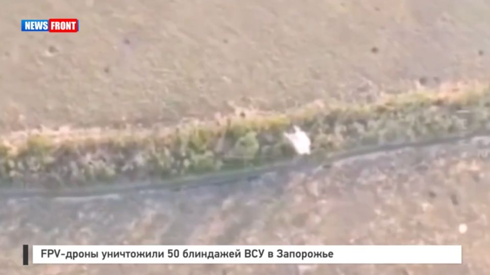 FPV-  50    