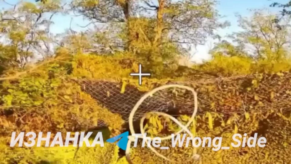   -64    FPV- &quot;&quot;   .   