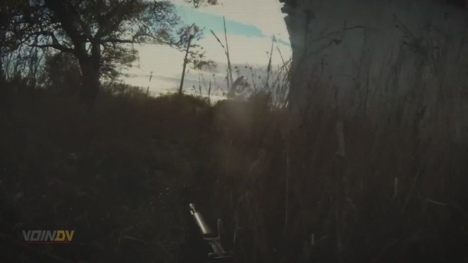 ���� �� - ��������-����� ������-�����������������!