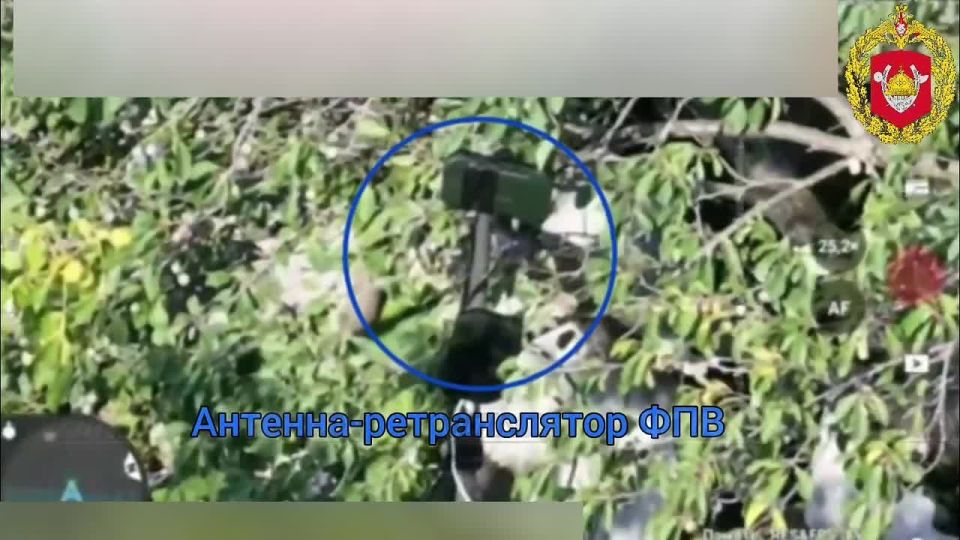 ��������� 5 ����������� �������� �������, 14 ����������� ������� �������� � 1461 ��������������� ����� ����������� ����� "������" ����� ���������� ������ �� ����������� �������������� � "����������" ���������� �...