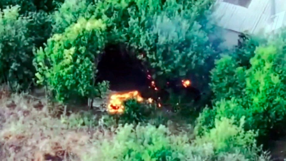 ���������� ����� ������� ����� �� ������� �������� � �������� �������