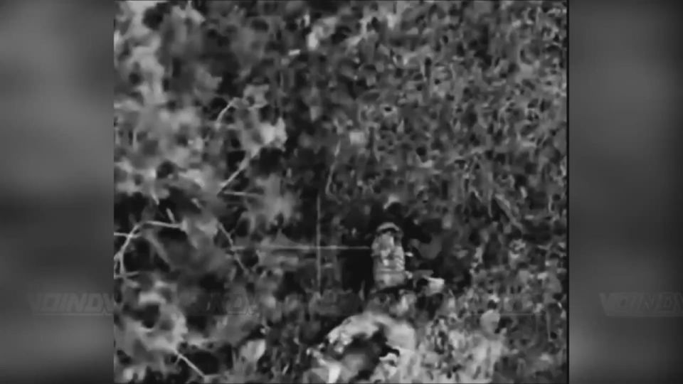 ����� ���� ��� ���������� ����� ����� �� ���������� ����������� ��������� ������� ����� ���������� 14 ����������� ������� ��������, 36 ����������� �������������� �������, 656 ��������������� ����� � 430 ��������������� �����...