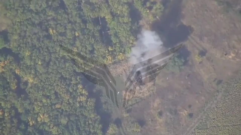 �������. 30 ������� ������ Zala ������ ��������� ����������� �������� ���������� ���������������� �������