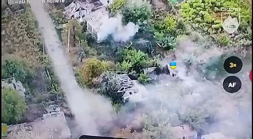 �� �������� ������ ��������