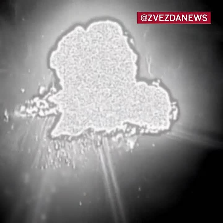 ���� ��������� ���� ����� ��������� ���� ���������� "��������" � ������������ � ���������������� �������