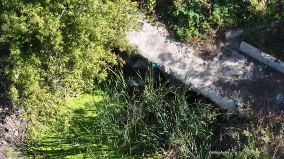 ����� ����������� ����� � ���� �����