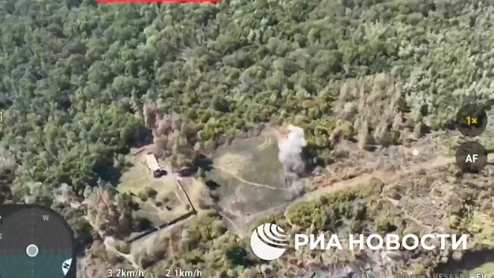 ����� �� ������������ ����������� � ���������������� ������� ��������� ���������� ������