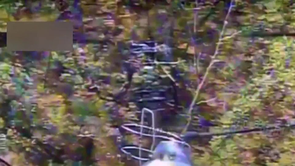 ���������� 14 ����������� ������� �������� �������� ��������������� ������� ���������� � ����� � ������ �� ���������� (���������������� �������)