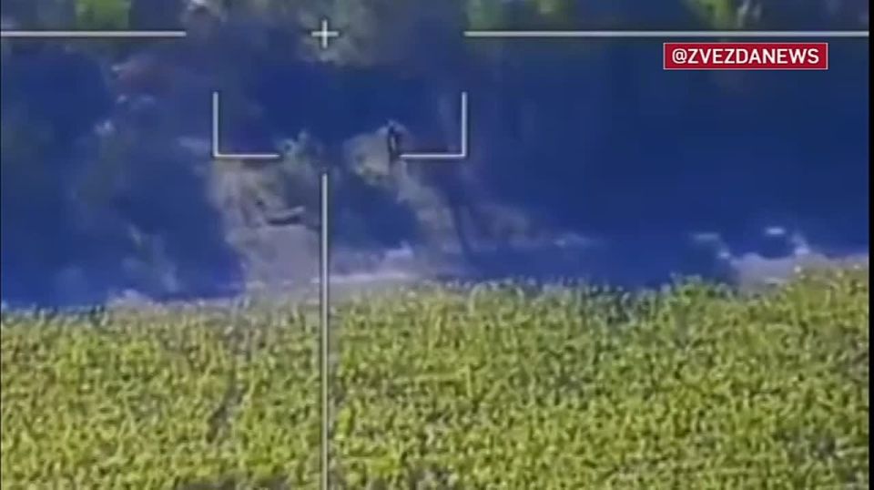  &quot;&quot;     198