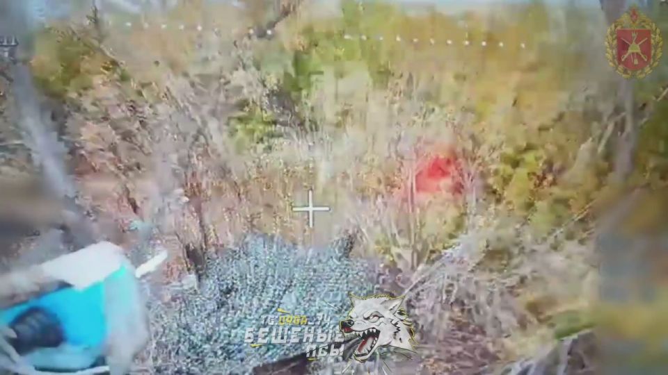 ��������� ���� ���� � ��������� ������ � ���� �� ������� �������� ���� ���������� �������� ������������ ���������� �� ���������������� �����������